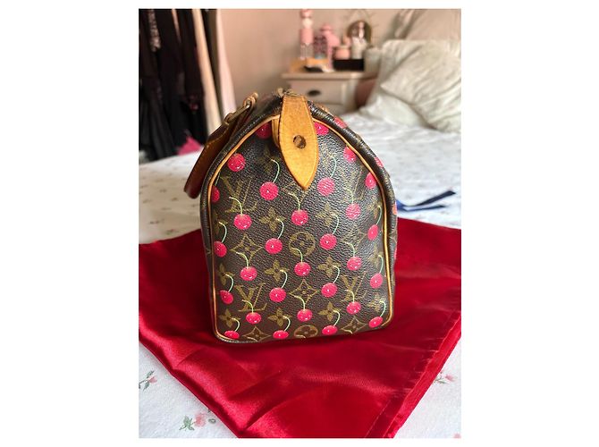 Louis Vuitton Speedy 25 Ciliegia Murakami Marrone scuro - vista 8