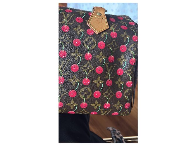 Louis Vuitton Speedy 25 Ciliegia Murakami Marrone scuro - vista 9