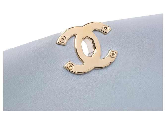 Chanel Graue Mini Kalbsleder Kette Um Klappe Braun - Ansicht 8