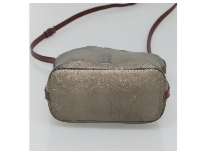 Borsa a Spalla LOEWE in Pelle Argento Autentica bs24622 - vista 5