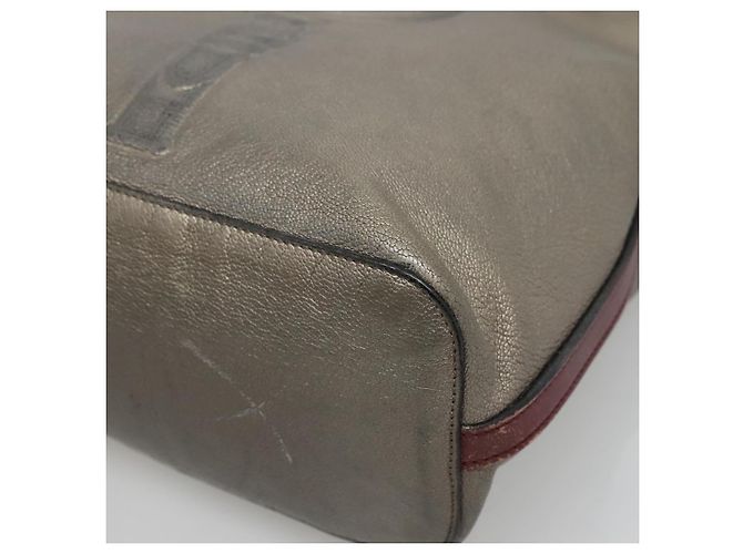 Borsa a Spalla LOEWE in Pelle Argento Autentica bs24622 - vista 9