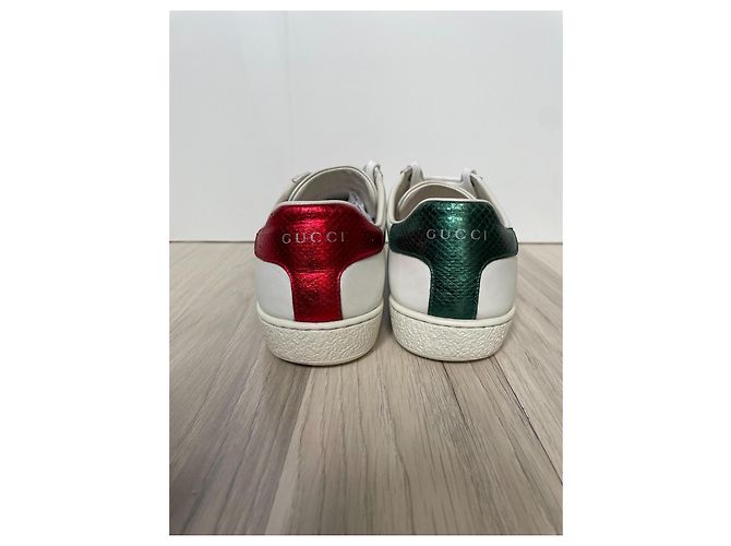 Sneakers Gucci Ace in pelle bianca 36.5 Bianco - vista 6