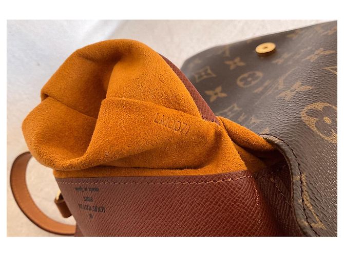 Borsa a mano Louis Vuitton Salsa Marrone Pelle e Tela Marrone chiaro - vista 5