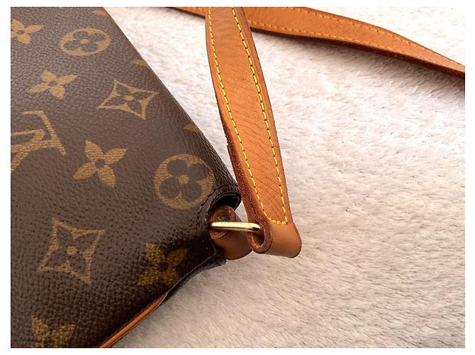 Borsa a mano Louis Vuitton Salsa Marrone Pelle e Tela Marrone chiaro - vista 9