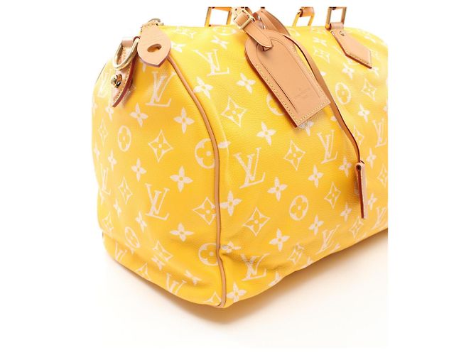 Louis Vuitton Speedy 40 Yellow - view 3