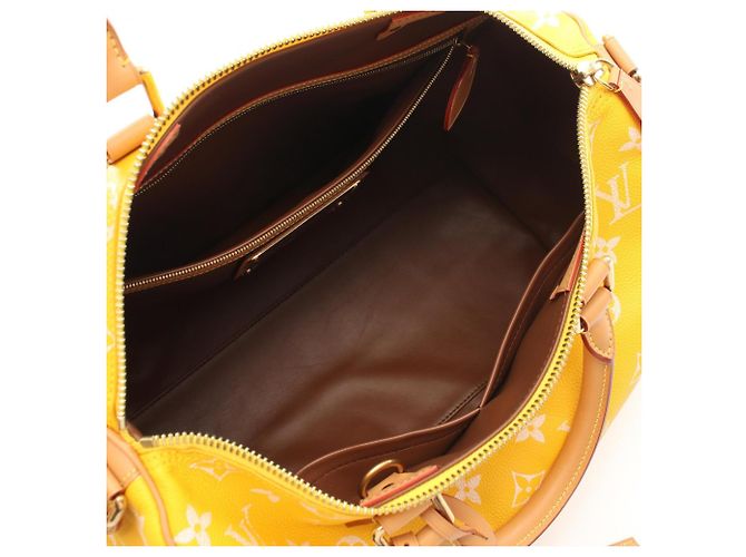 Louis Vuitton Speedy 40 Yellow - view 5