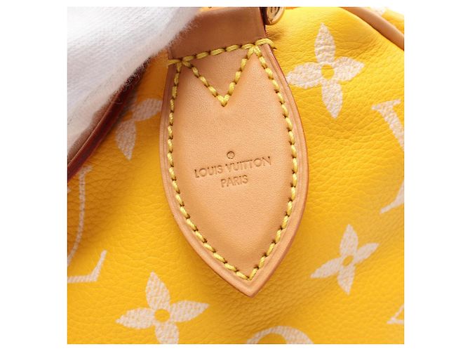 Louis Vuitton Speedy 40 Yellow - view 7