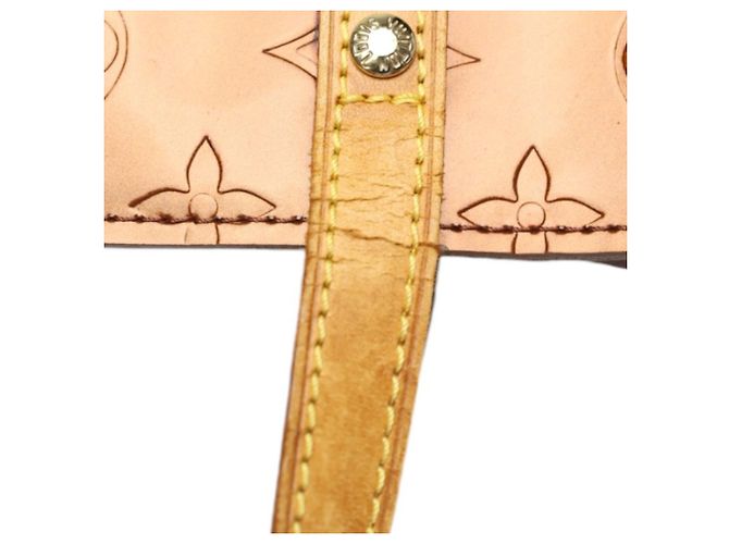 Borsa Louis Vuitton Reed PM Vernis Mini Bronzo - vista 19