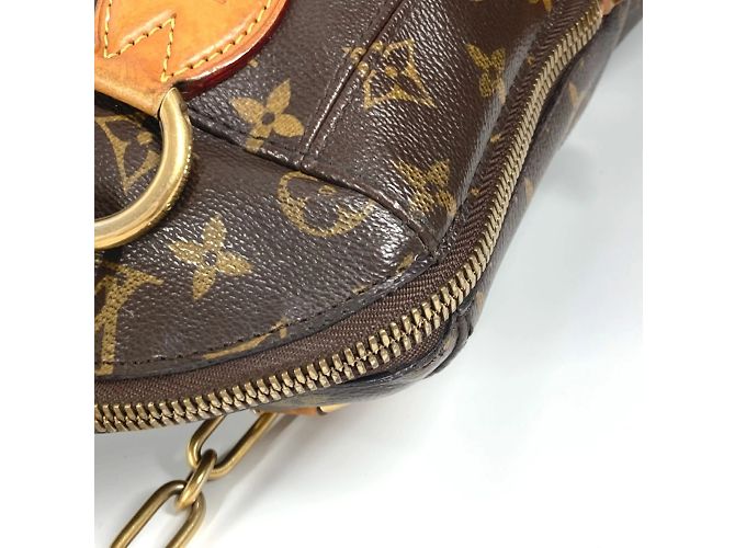 Borsa da boxe Iconoclast Monogram Louis Vuitton Marrone - vista 12