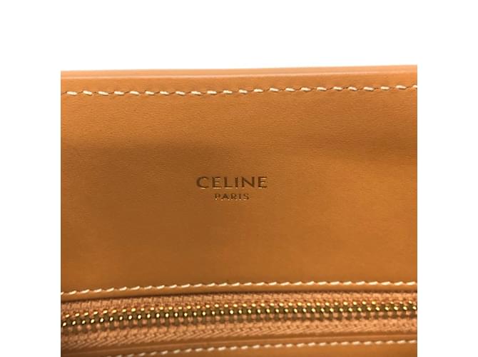 Céline Borsa Cabas Piccola Verticale 2WAY Celine Marrone Beige - vista 14