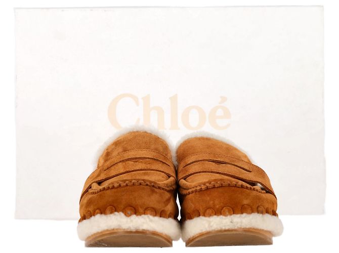 Pantofole Chloé Joy in suede marrone Rosso - vista 2