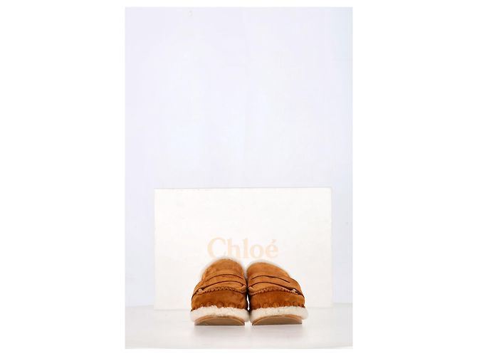 Pantofole Chloé Joy in suede marrone Rosso - vista 9
