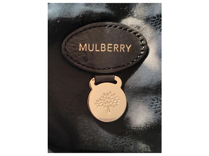 Mulberry Alexa - vista 11