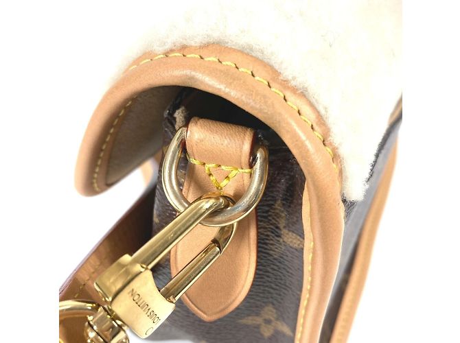 Borsa Diane NM PM Monogramma Louis Vuitton Marrone - vista 10