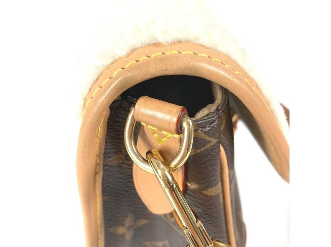 Borsa Diane NM PM Monogramma Louis Vuitton Marrone - vista 11