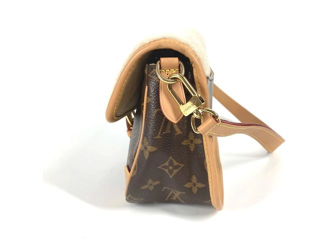 Borsa Diane NM PM Monogramma Louis Vuitton Marrone - vista 4