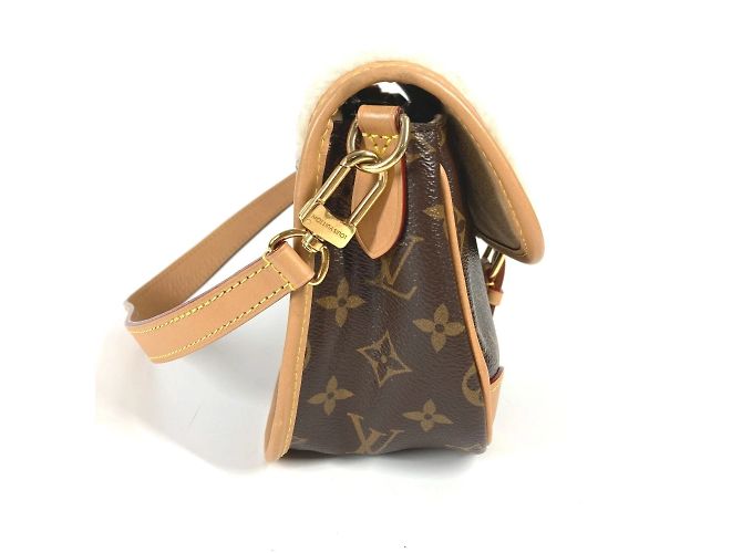 Borsa Diane NM PM Monogramma Louis Vuitton Marrone - vista 6