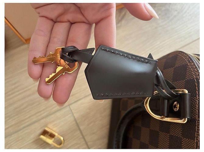 Borsa a mano Louis Vuitton Alma BB in pelle marrone - vista 12