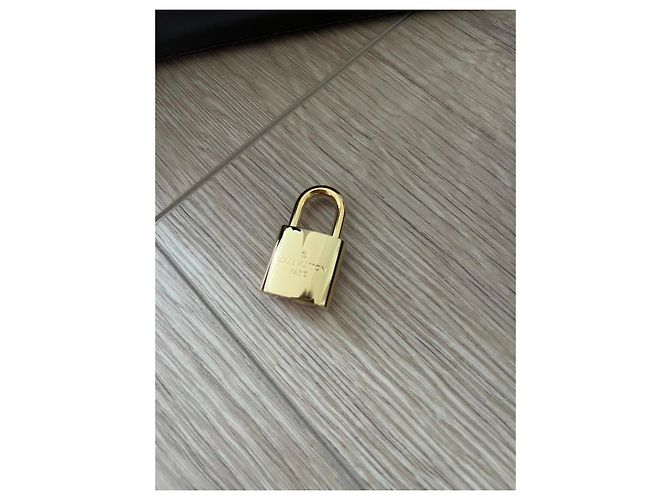 Borsa a mano Louis Vuitton Alma BB in pelle marrone - vista 16