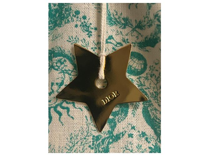 Christian Dior Borsa tote Dior DIORIVIERA Verde chiaro Verde scuro - vista 4