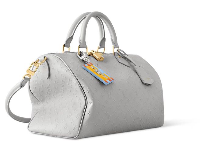 Louis Vuitton Speedy Soft 30 Pelle Grigia Grigio - vista 2