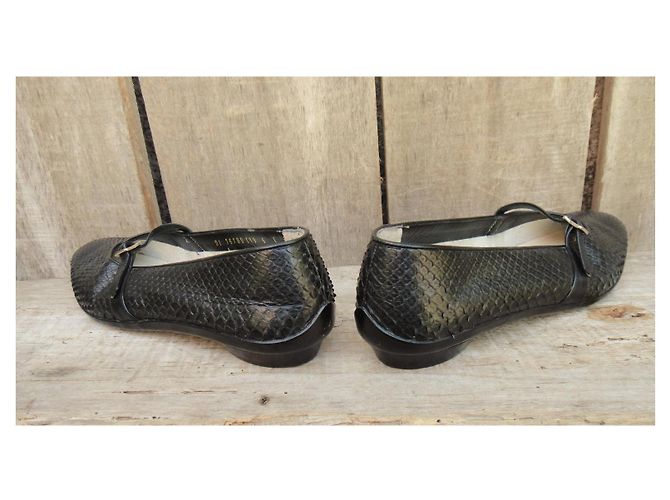 Salvatore Ferragamo Ballerinas aus Python Schwarz - Ansicht 5