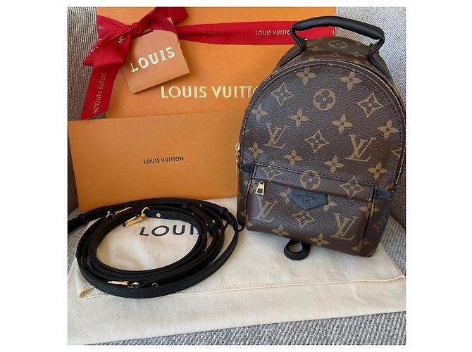 Louis Vuitton Palm Springs Mini Marrone - vista 16