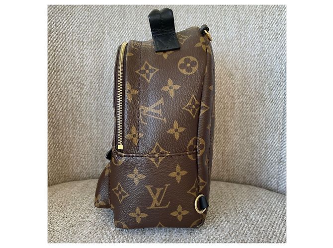 Louis Vuitton Palm Springs Mini Marrone - vista 3