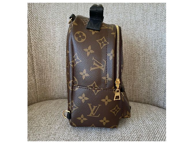 Louis Vuitton Palm Springs Mini Marrone - vista 5