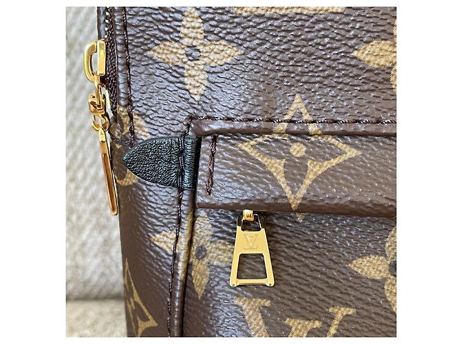 Louis Vuitton Palm Springs Mini Marrone - vista 9