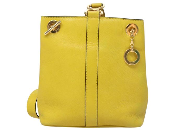 Céline Borsa a Spalla CELINE in Pelle Giallo Oro Auth sw496 D'oro - vista 13
