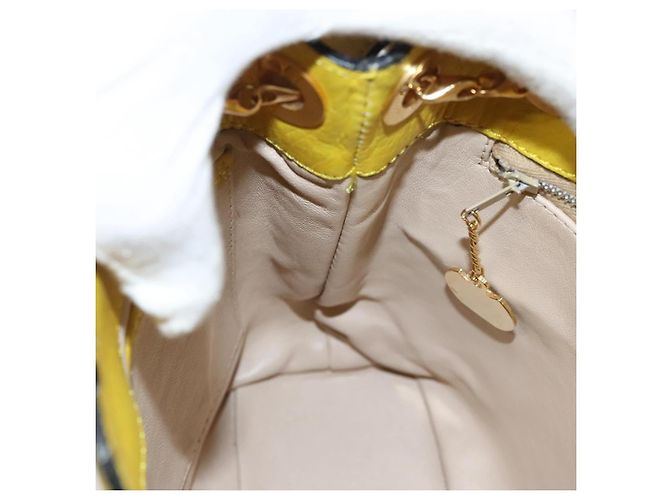 Céline Borsa a Spalla CELINE in Pelle Giallo Oro Auth sw496 D'oro - vista 20