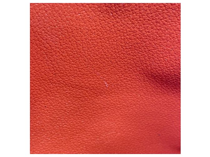 Pochette Monogram Pallas Beauty Case Louis Vuitton Marrone Fuschia - vista 7