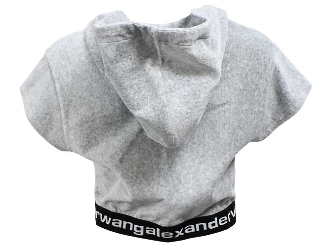Sudadera corta Alexander Wang T. en terciopelo gris - vista 3