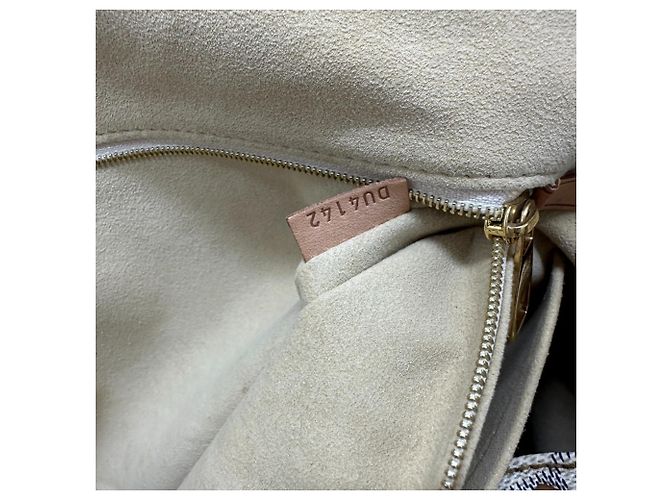 Borsa a Spalla Louis Vuitton Damier Azur Salina PM Bianco - vista 13
