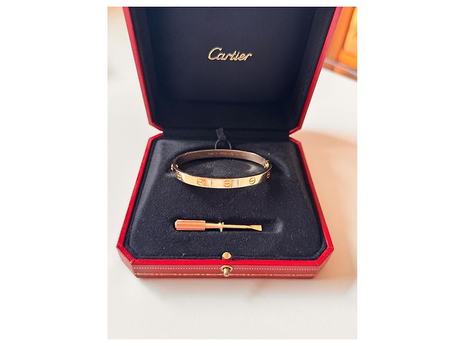 Bracciale rigido Cartier Love oro rosa - vista 2