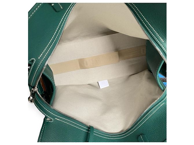 Borsa a mano Goyard Hardy PM Verde - vista 13