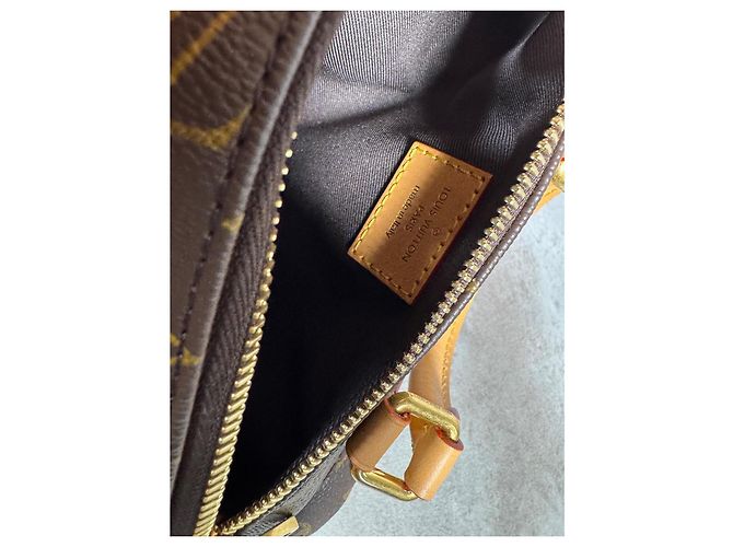 Louis Vuitton Sac Pooch M12617 – Monogram Canvas Marron - vue 7
