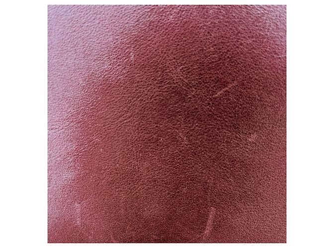 Céline Trapeze Große Leder-Handtasche in Trikolore Bordeaux - Ansicht 8
