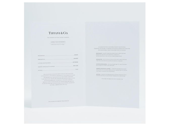 Tiffany & Co Solitaire Platinum Ring 16mm Diameter - Ansicht 10