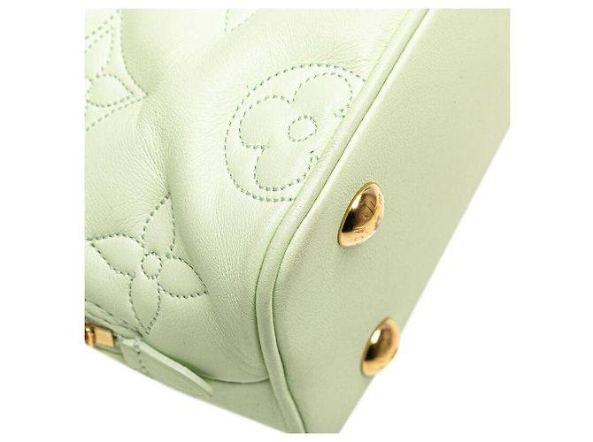 Sac à main en cuir Mahina Alma Soft BB de Louis Vuitton Vert - vue 4