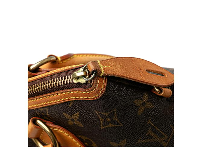 Louis Vuitton Marrone Monogramma Lockit PM - vista 9