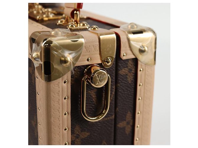 LOUIS VUITTON Monogram Panda LV �~ TM Mini Square Trunk Bag M13127 Auth BA2353SM Monogramma - vista 17