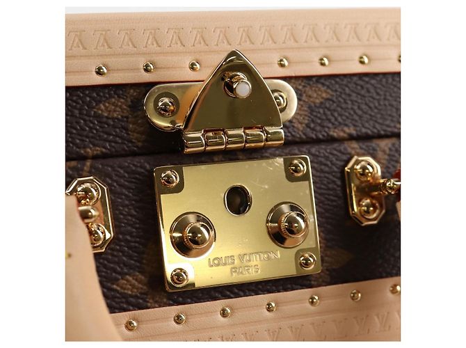 LOUIS VUITTON Monogram Panda LV �~ TM Mini Square Trunk Bag M13127 Auth BA2353SM Monogramma - vista 22