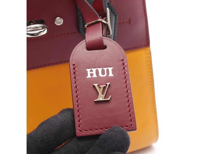 Borsa City Steamer MINI di Louis Vuitton Arancione Bordò - vista 7