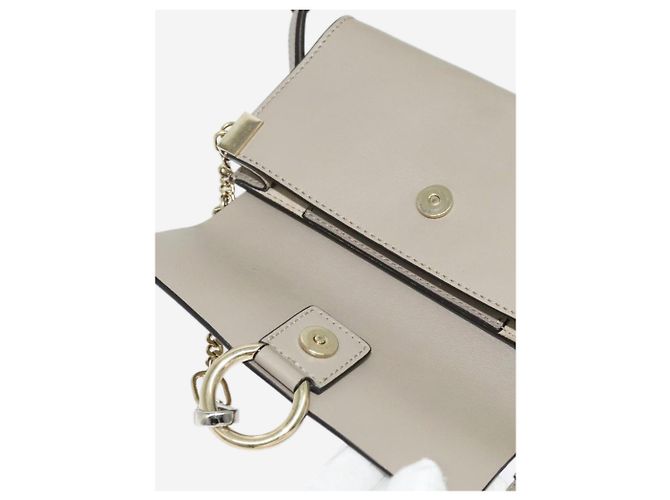 Chloé Borsa a tracolla Grey Faye Grigio - vista 15