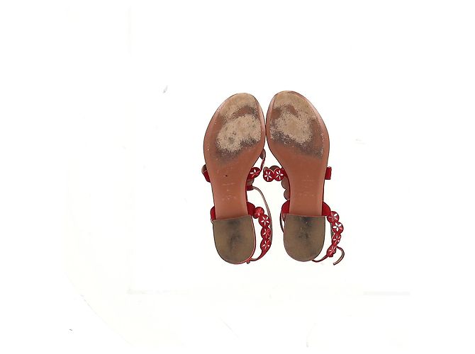 Sandali flat con cinturino alla caviglia in suede rosso con taglio laser Alaïa Flower Bordò - vista 12