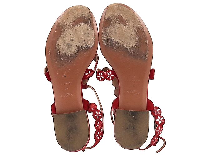 Sandali flat con cinturino alla caviglia in suede rosso con taglio laser Alaïa Flower Bordò - vista 6