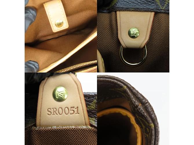 Borsa Louis Vuitton Vavin PM M51172 Marrone - vista 9