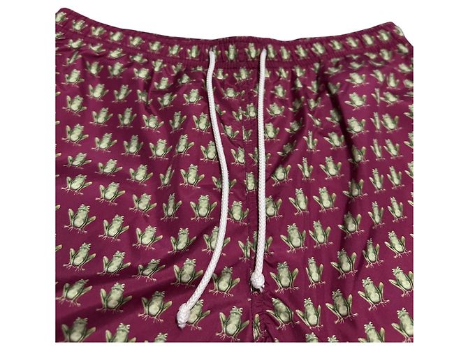 Autre Marque Dalwin Designs Herren Badehose mit Froschprint Mehrfarben - Ansicht 3